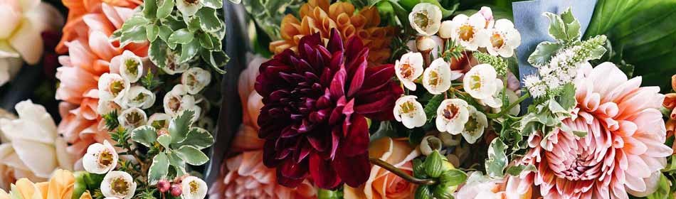 Florists, Floral Arrangements, Bouquets in the Chalfont, Bucks County PA area