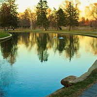 Allentown Rose Garden