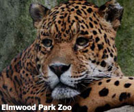 Elmwood Park Zoo, Norristown PA
